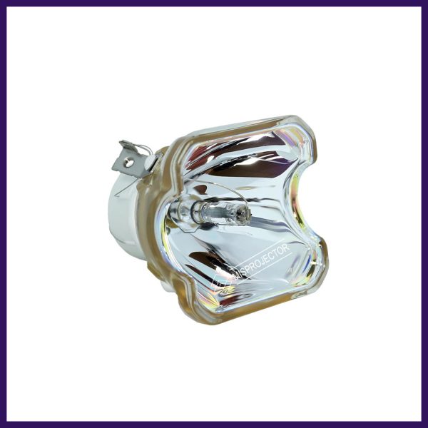 DT00893